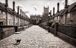 Wells Cathedral from Vicar's Close